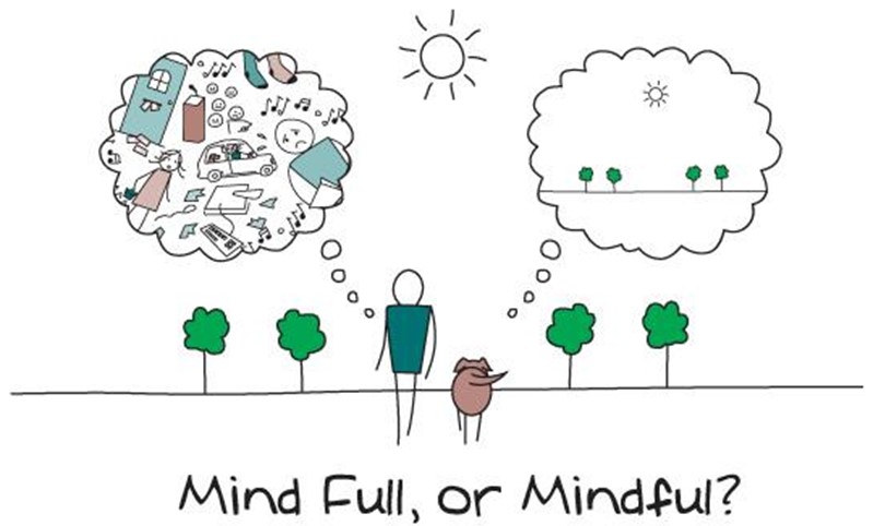 Mindfulness na escola
