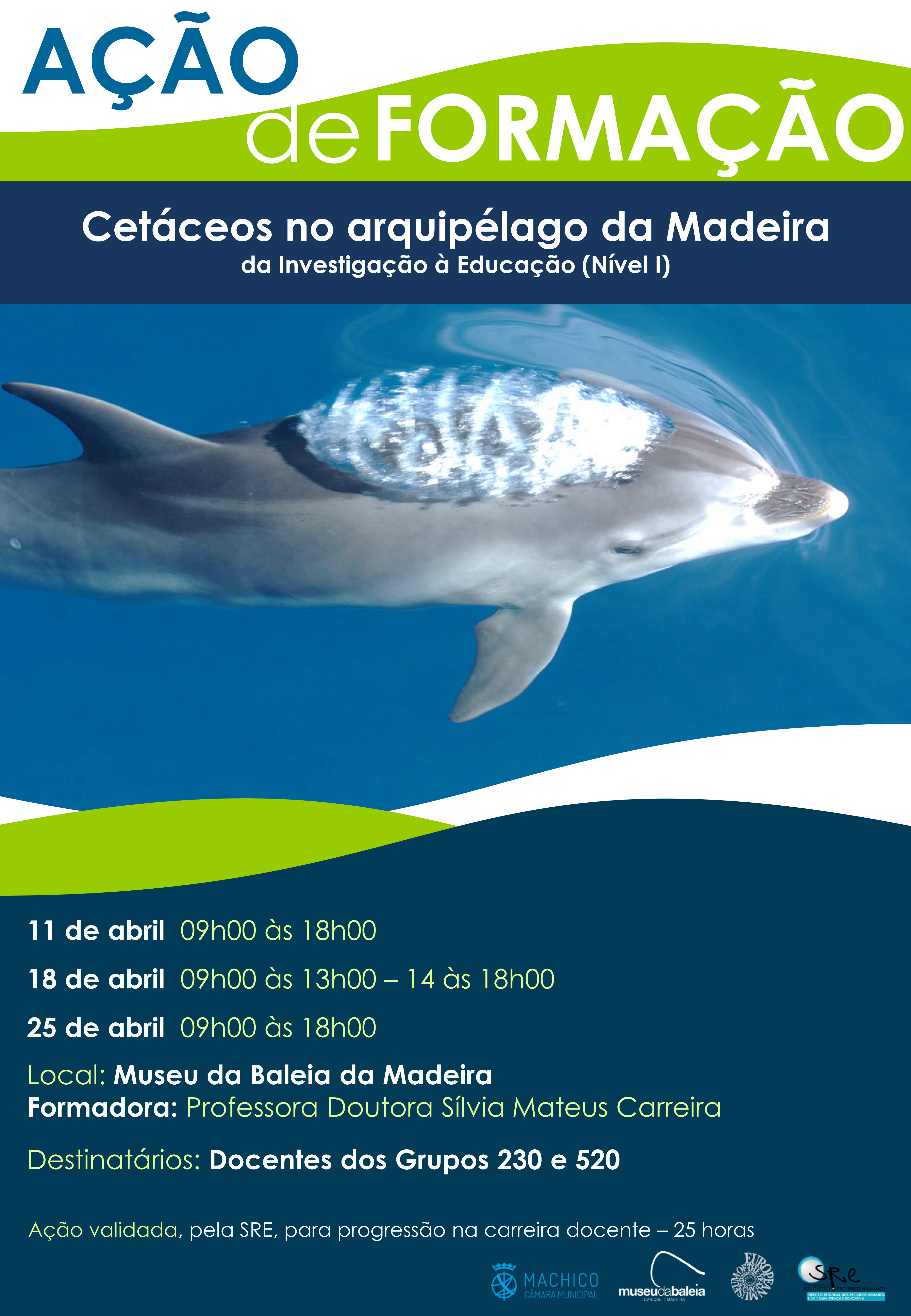 Inscrições abertas: "Cetáceos no arquipélago da Madeira"