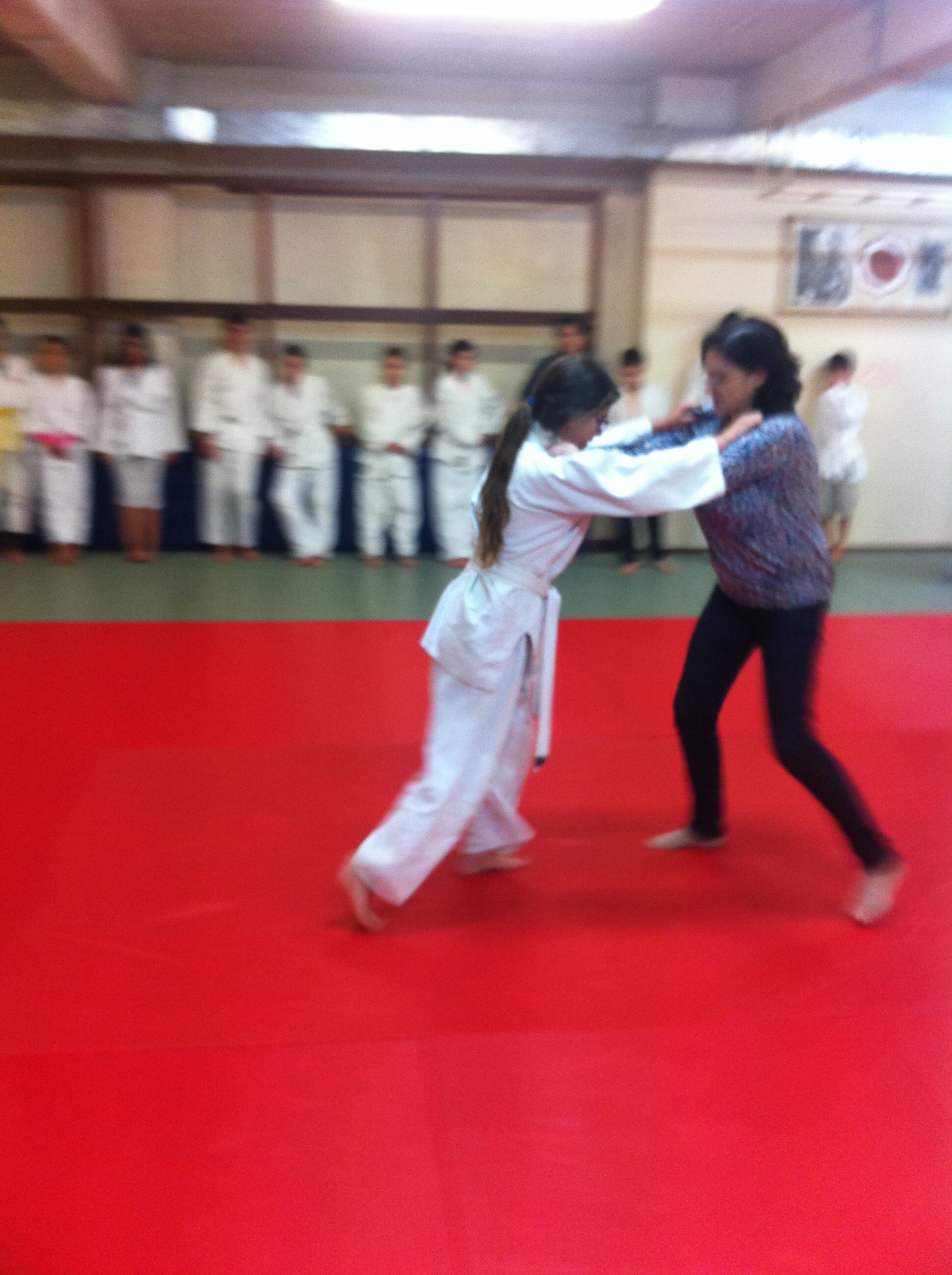 Estágio Judo 