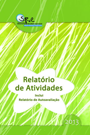 Relatório anual de atividades 2013